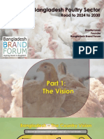 1245 Poultry Sector Branding Strategy and Road Map 2024 - Shariful Islam and Saiful Islam