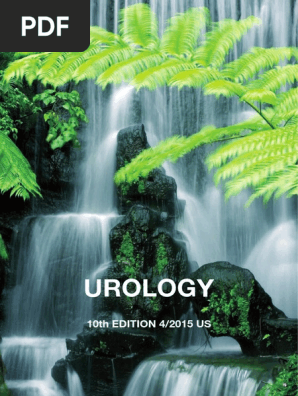 PDF | PDF | License | Online Copyright Infringement