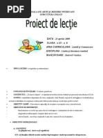 Proiect Didactic Clase Simultane