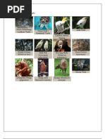 Download Flora Dan Fauna by Azhari Tambunan SN45205291 doc pdf