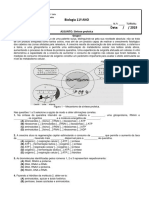 FWsintese proteica.pdf