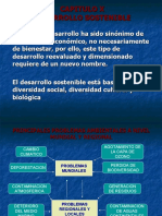 DESARROLLO_SOSTENIBLE