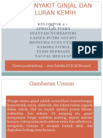 ppt diet ginjal.pptx