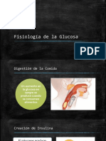 Fisiología de La Glucosa