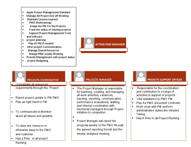 PMO Structure PDF | PDF | Project Management | Computing