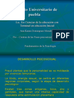 psicosexuales freud.ppt