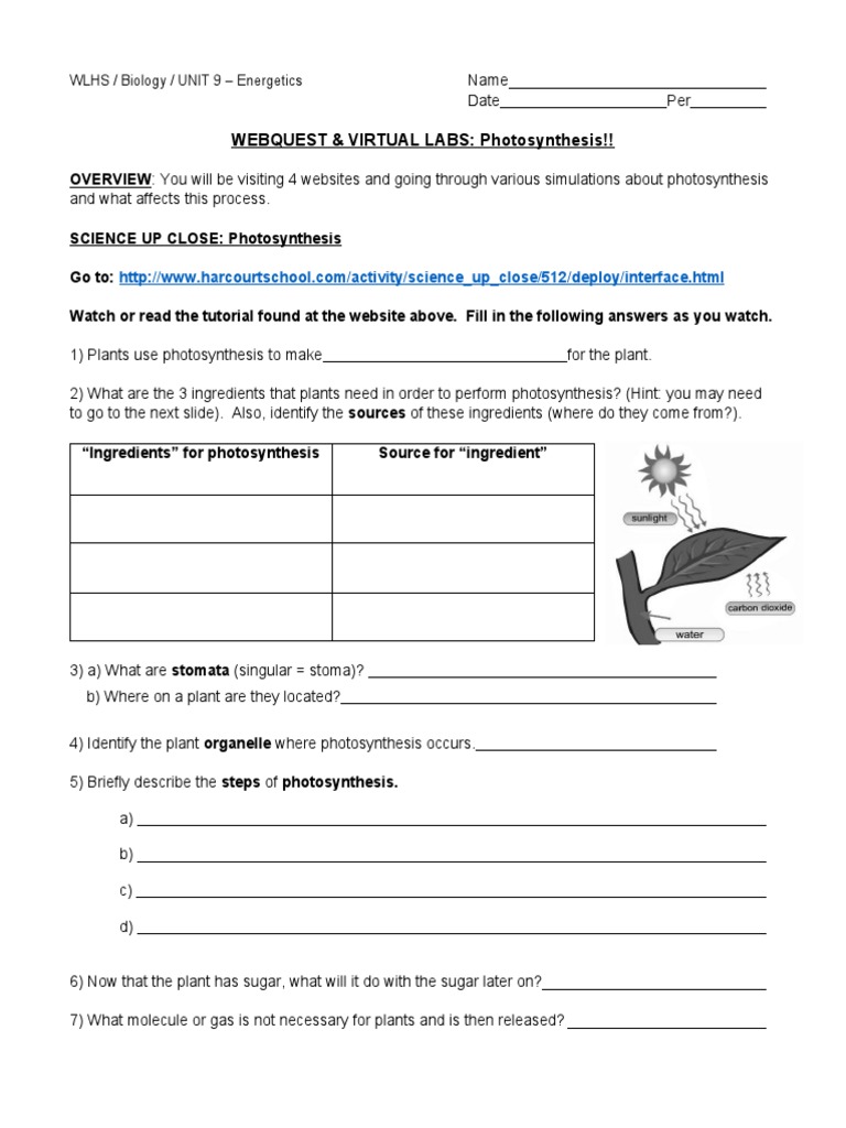 Webquest Photosynthesis Virtual Labs Nm New Photosynthesis Color