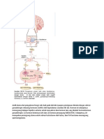 skenario 2 a4.docx