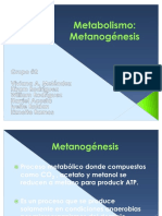 55754930-Metanogenesis-1