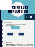 Biosintesis Nukleotida 7