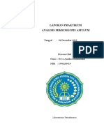 ANALISIS MIKROSKOPIS AMYLUM Farmakognosi