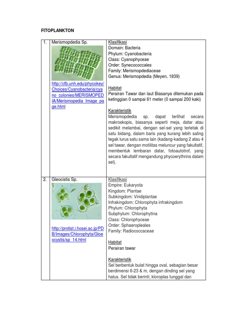 FITOPLANKTON Dan ZOOPLANKTON | PDF