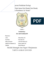 Laporan Hasil Kegiatan Penelitian Protista Pada Air Rendaman Jerami Dan Fungi Pada Roti Busuk Serta Nasi Basi