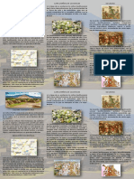 Triptico Teotihuacan PDF