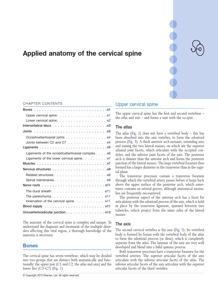 Anatomy Cervical PDF | PDF | Vertebra | Vertebral Column