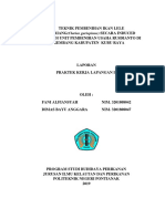 Laporan PKL Fani Dan Bayu PDF