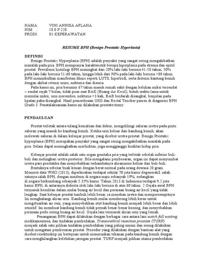Resume BPH PDF - 1720142128
