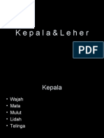 PD Kepala Leher