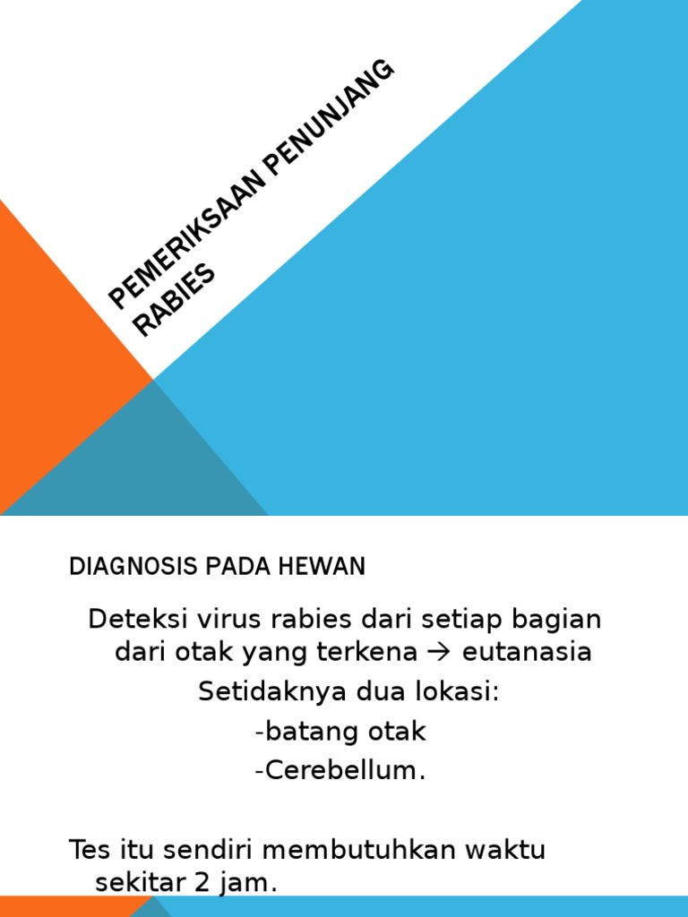 Diagnosis Rabies: Metode dan Prosedur | PDF