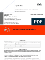 Actividad 1 Tipologia de Caso - JOR PDF