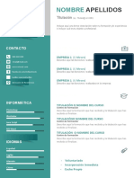 Plantilla Curriculum Vitae 10