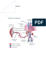 Fecal Infection