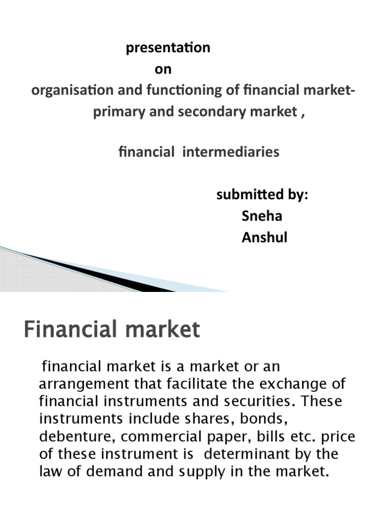 Primary Market PDF Financial Markets Stocks