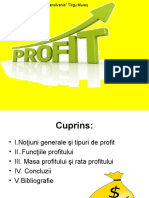 Profitul_1