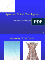 lecture 8 spine and spinal cord injuries.pdf