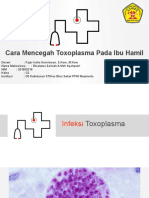 Cara Mencegah Toxoplasma