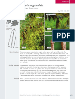 Barbula Unguiculata PDF