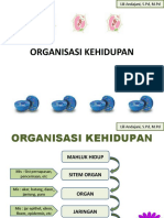 Organisasi Kehidupan