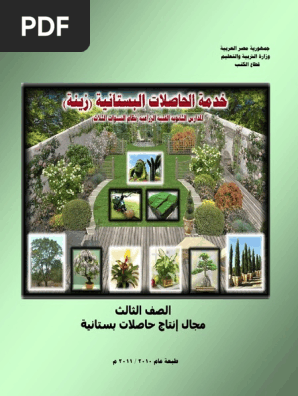 زينة Pdf