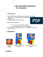 Fracture de La Tete Humerale