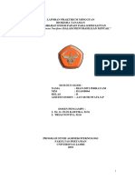 Dian Dwi I. D1A018064(LAPRAK 02) _.pdf