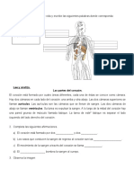 G Ciencias Naturales 7-2020