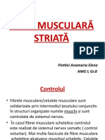 Fibra Musculară Striată