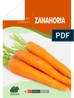 Perfil Comercial ZANAHORIA