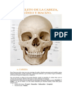 Tema 6 - Esqueleto de La Cabezaa