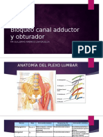 Bloqueo Canal Adductor y Obturador