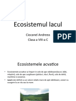 Ecosistemul Lacul