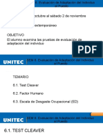 SEM 6. Evaluación de Adaptación Del Individuo Al Puesto