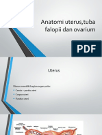 Anatomi Uterus, Tuba Falopii Dan Ovarium