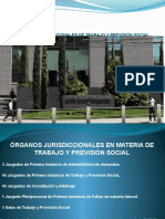 ÓRGANOS JURISDICCIONALES DE TRABAJO.ppsx