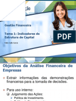 Gestão Financeira - Tema 1 Indicadores de Estrutura de Capital PDF