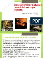 Ariile Protejate, Cl.12oft Office PowerPoint