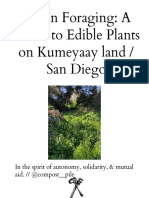 Urban Foraging - A Guide To Edible Plants On Kumeyaay Land - San Diego