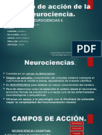 Neurociencias 2 - T.A. - Grupo 1