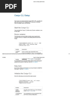 Conjur CLI Setup _ CyberArk Docs