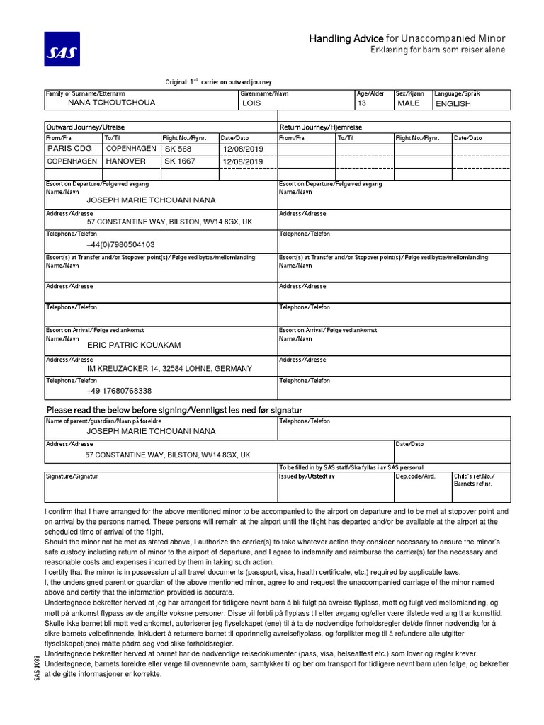 Handling Advice Unaccompanied Minor | PDF | Cultural Geography | Document